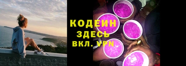 дурь Лабытнанги