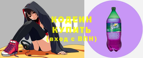 дурь Лабытнанги