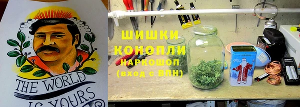 сатива Богородицк